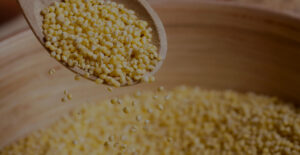 Tips for Starting Your Millet Journey