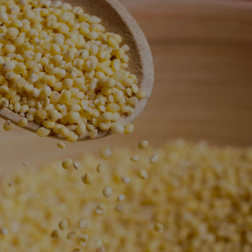 Tips for Starting Your Millet Journey