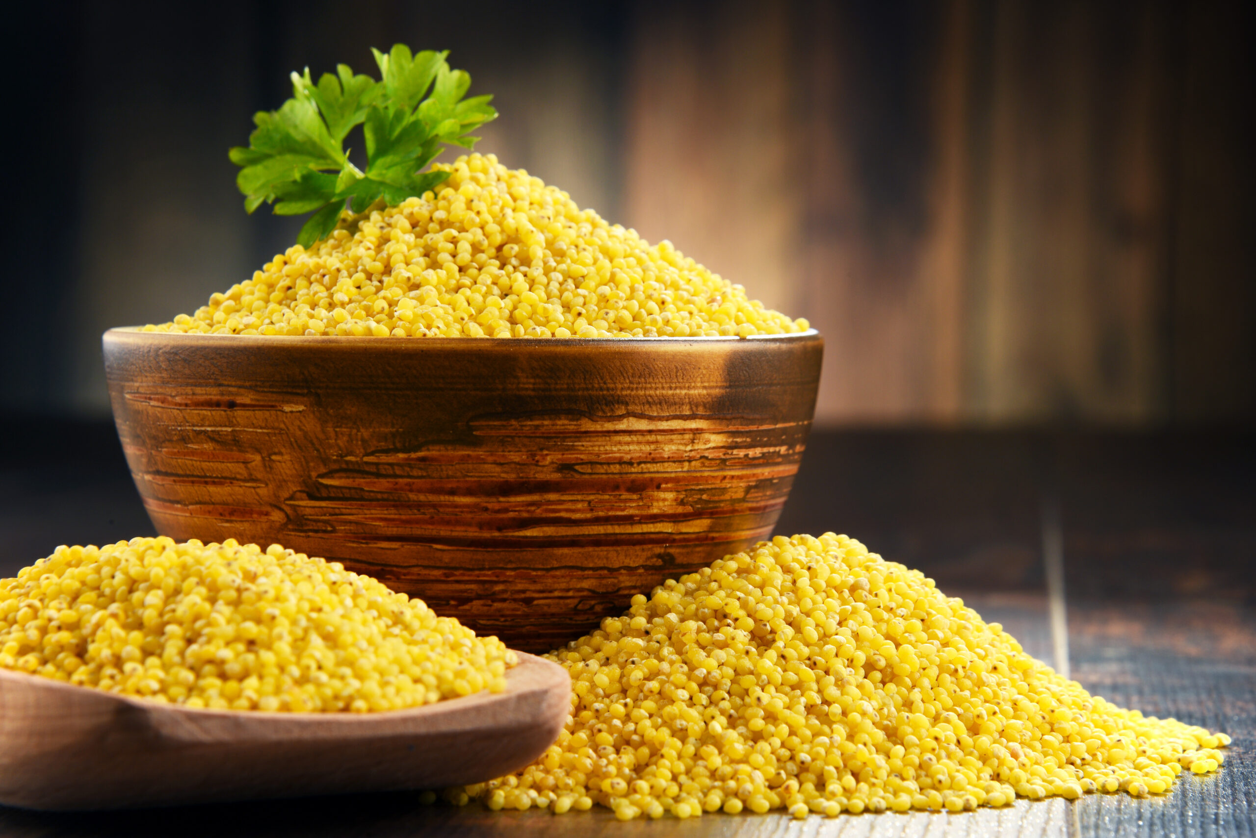 What are the Differences Between Unpolished, Semi-polished, and Polished Millets?