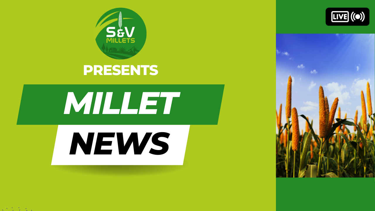MILLET NEWS