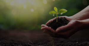 Benefits to the Environment