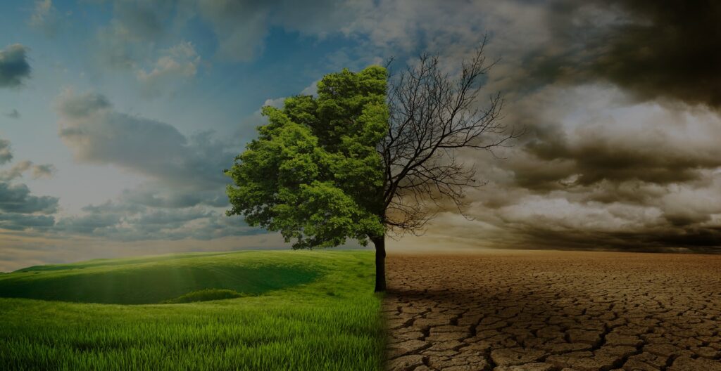 benefits-to-the-environment-banner